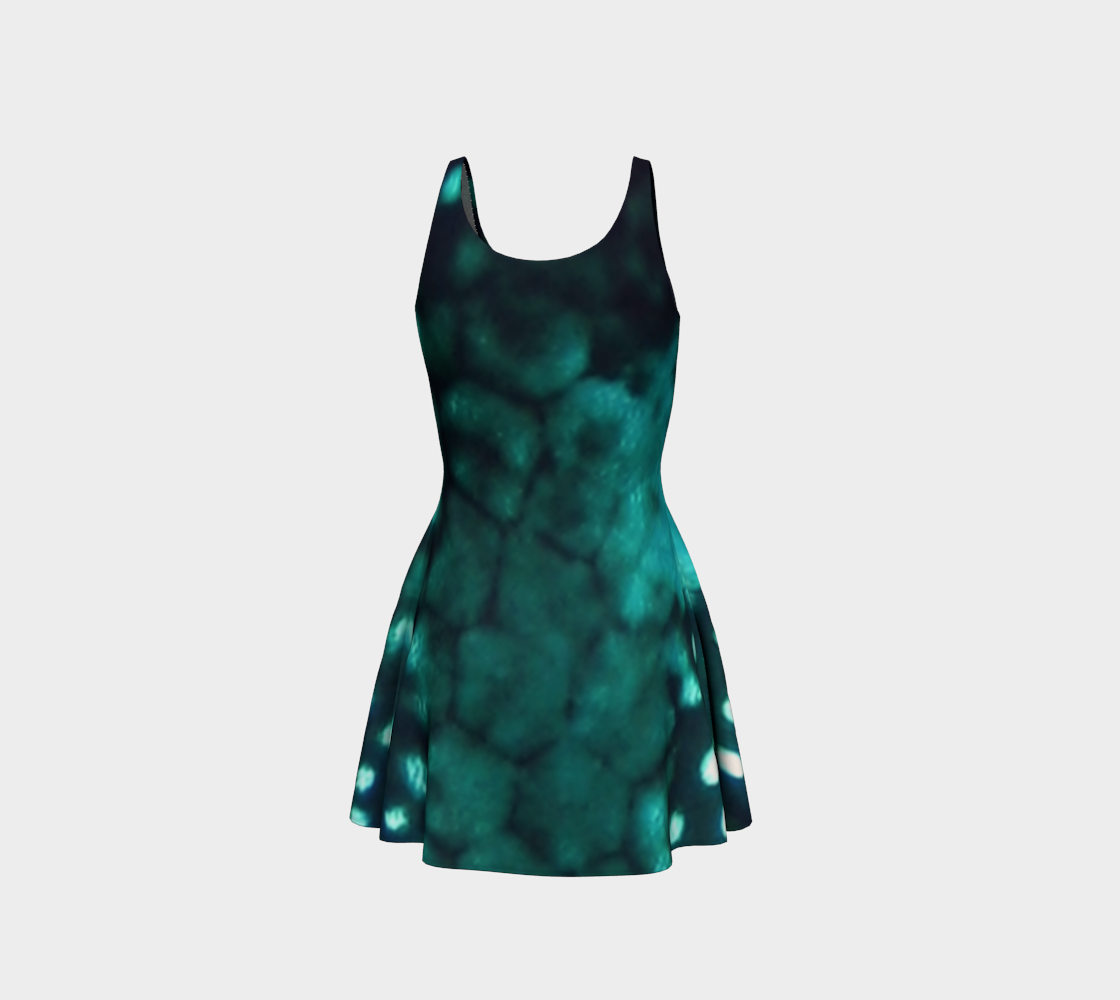 Trunkfish Flared Eco Dress