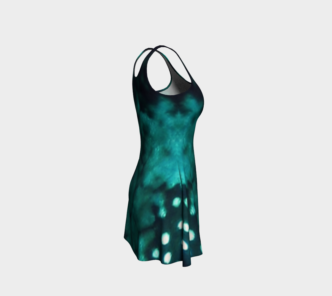 Trunkfish Flared Eco Dress