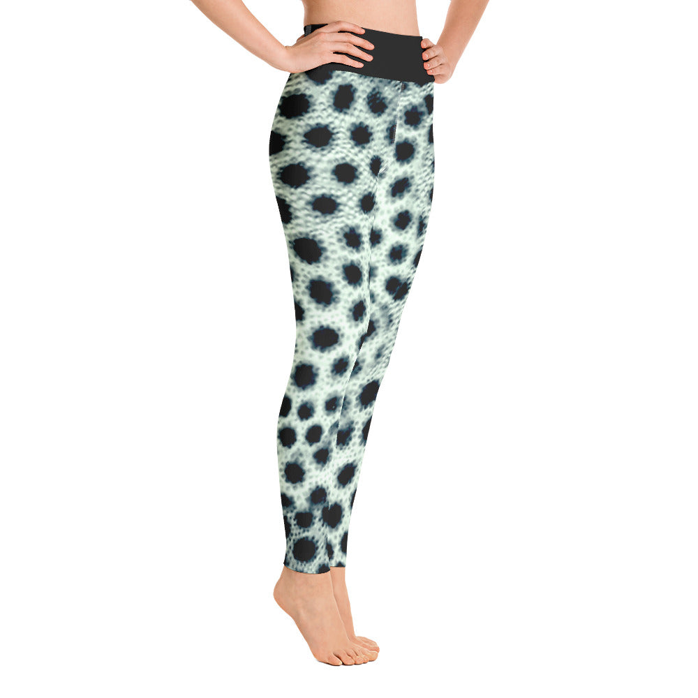 Trunkfish Yoga Pants