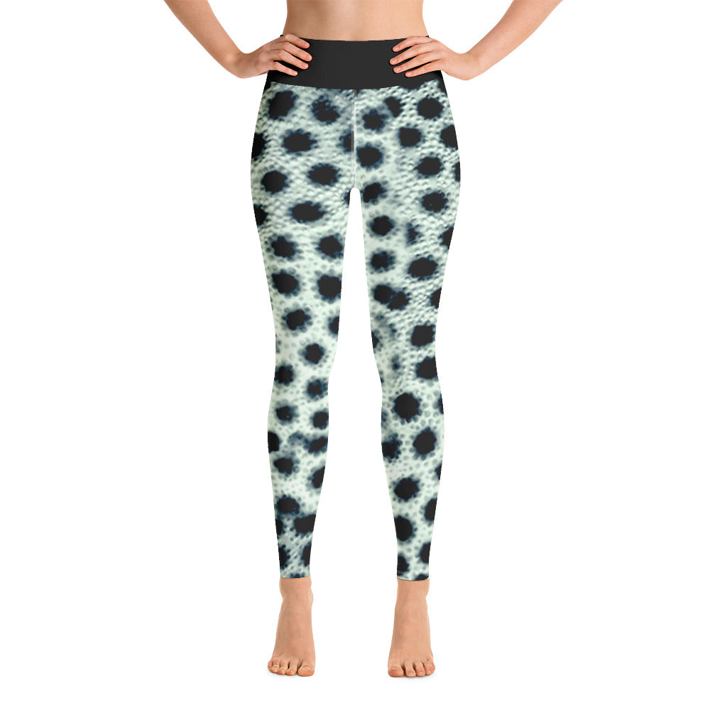 Trunkfish Yoga Pants