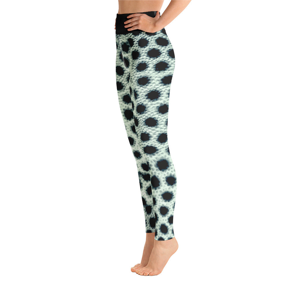 Trunkfish Yoga Pants