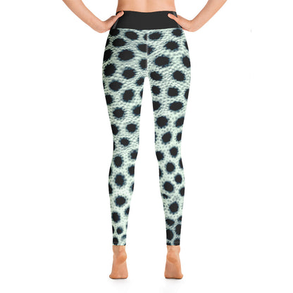 Trunkfish Yoga Pants